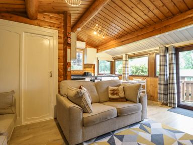 A living room with a sofa and kitchen area at Swn Yr Afon - No 333