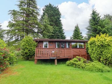 A cabin with a deck surrounded by trees and grass at Swn Yr Afon - No 333