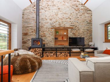 A living room with a fireplace and television at Lower Walreddon Barn Tavistock