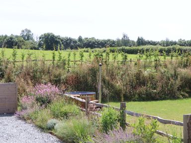 A garden with flowers and a hot tub at Lower Walreddon Barn Tavistock