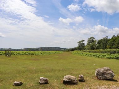 An outdoor area with grass, trees, and a wooden structure in Lower Walreddon Barn Tavistock