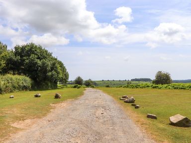 A gravel path lined with rocks and trees at Lower Walreddon Barn Tavistock