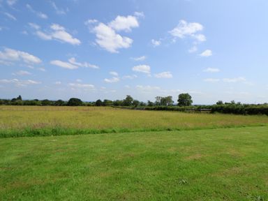 A field with grass and trees at Honeypot Hideaways - Manuka