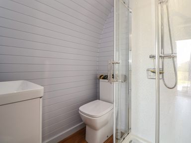 A bathroom with a shower, toilet, and sink at Honeypot Hideaways - Clover