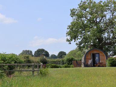A cabin in a grassy garden at Honeypot Hideaways - Clover