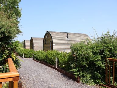 Cabins along a gravel pathway with greenery at Honeypot Hideaways - Clover
