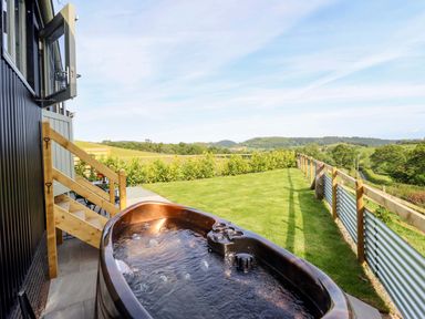 An outdoor area with a hot tub and grass at Charollais in Oswestry