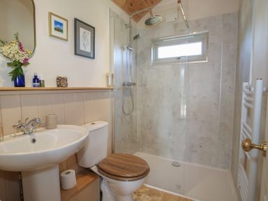 A bathroom with a shower, sink, and toilet at Squirrel's Drey in Chapel Lawn near Clun