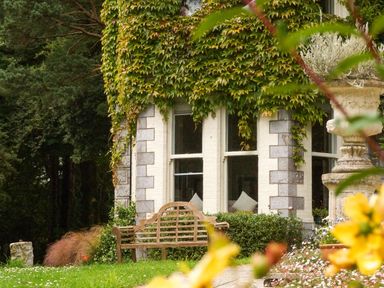 A garden with a bench and window covered in ivy at The Stables Budock Water near Falmouth