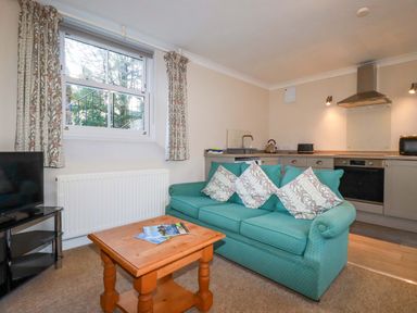 A living room with a sofa and television at Horseshoe Cottage in Falmouth