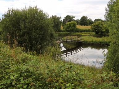 A pond with a wooden bridge surrounded by grass and trees at Lakeside Lodge in Witherenden Hill near Burwash