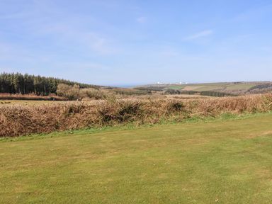 A grassy outdoor area with bushes and trees overlooking the ocean at New Pod Kilkhampton