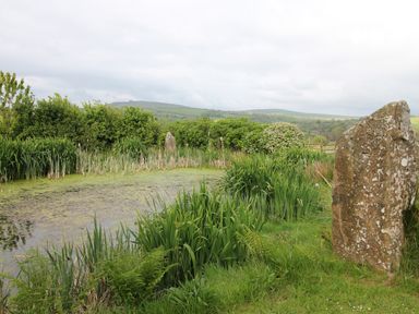 A view of a pond with reeds and stones at The Dovecote in Fishguard