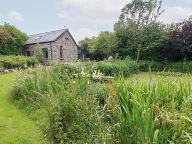 A garden with a stone house and plants at The Dovecote in Llanychaer near Fishguard