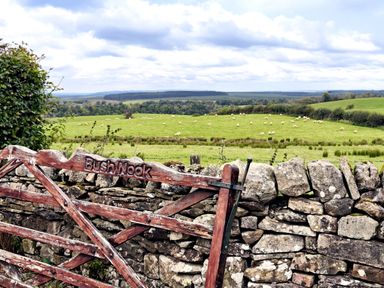 A view of a landscape with a gate and sheep at Bush Nook House in Brampton, Cumbria