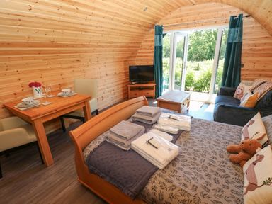 A living room with a bed and seating area at Lodge 3 near Pontyates