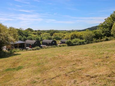 A view of huts and trees in a grassy area at Lodge 3 near Pontyates