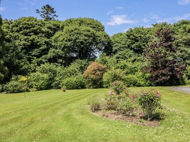 A garden with flowers and trees at Knockroe Lodge