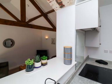 A kitchen with plants and kitchen utensils at Hedgehog Highway Parkham