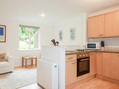 A kitchen with a sofa and a table at Acorns in Falmouth