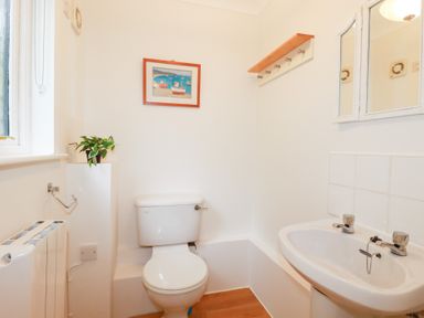A bathroom with a sink and toilet at Acorns in Falmouth