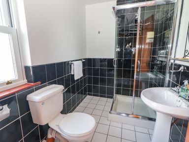 A bathroom with a shower enclosure and toilet at Ash House in Ballyvaughan