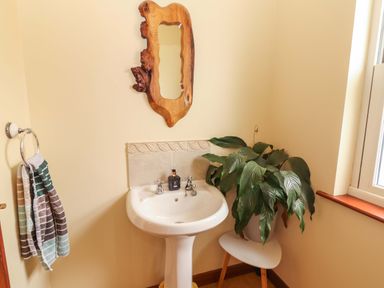 A sink with a mirror and plant in a bathroom at Ash House Ballyvaughan