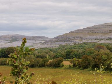 A landscape view featuring mountains and trees at Ash House Ballyvaughan
