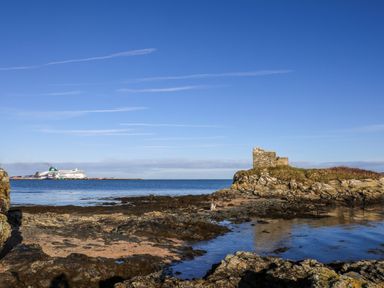 A rocky shore with castle ruins and a ship in the background at Penrhos Walks Holyhead