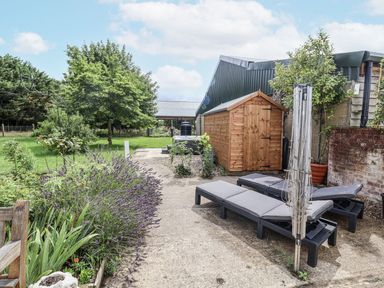 A garden with lounge chairs and a shed at Holly Farm near Brantham