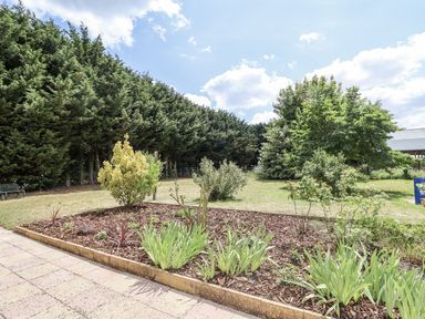A garden with trees and a pathway at Holly Farm near Brantham