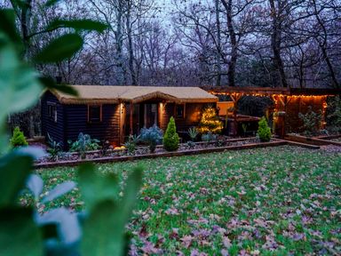 A cabin with decorative lights and garden at Charltons Hollow Cabin in Bolney
