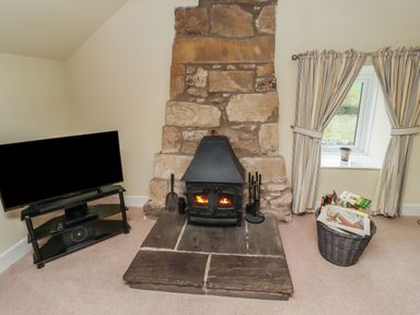 A living room with a fireplace and television at Honeymug in Branton near Powburn