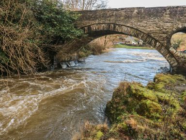 A bridge over a river with trees and grass at Static Caravan