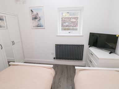 A bedroom with two beds and a television at Cottage 1 in Laugharne
