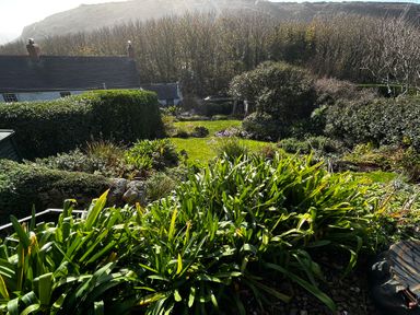 A garden with various plants and flowers at 1 Rowes Cottages, Porthgwarra