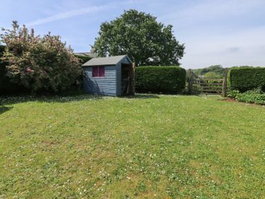 A garden with a shed and trees at 13 School Road in Newton Abbot