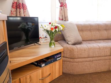 A living room with a television and flowers on the coffee table at 21 Poplar Avenue, Felixstowe, Suffolk