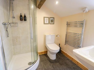 A bathroom with a shower, toilet, sink, and towel rail at Brondderwen in Blaenau Ffestiniog