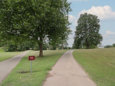 A path and trees at Raglan Lodge in Monmouth