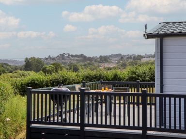 An outdoor deck with a table and chairs at Maple Lodge Teigngrace near Kingsteignton