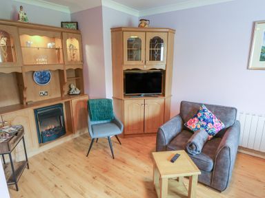 A living room with a fireplace and television at Kathleens Cosy Apartment in Galway