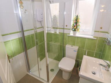 A bathroom with a shower, toilet, and sink at Kathleens Cosy Apartment in Galway