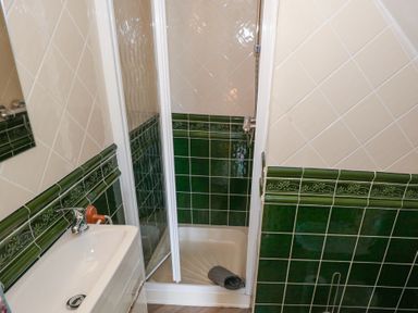 A bathroom with a shower and washbasin at Kathleens Cosy Apartment Galway