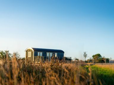 A shepherd's hut in a grassy field at Head For the Hills Glamping - Skylark Shepherd's Hut