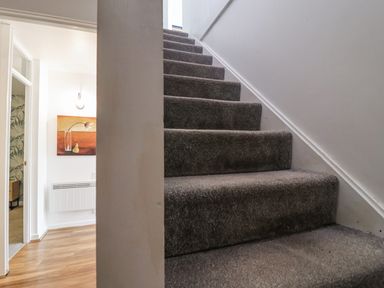 A staircase with carpet leading to an upper level at Valley Lodge 20, Callington