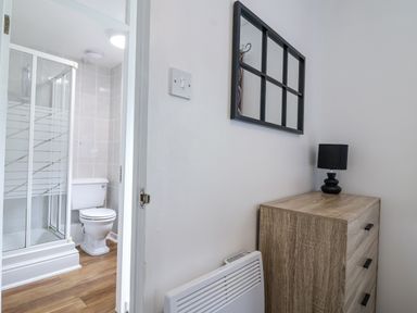 A bathroom with a shower and toilet at Valley Lodge 20 Callington