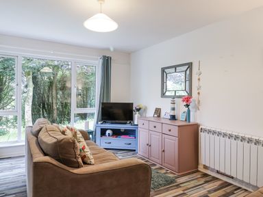 A living room with a sofa and television at Manorcombe 21 Honicombe Holiday Village near Gunnislake