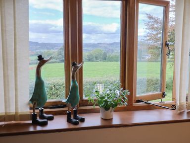A living room with a window and duck figurines at The Granary in Wyke Nr Axminster