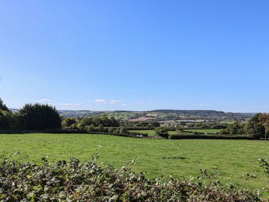 A landscape with trees and grass in the countryside at The Granary in Wyke Nr Axminster